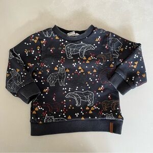 DEUX PAR DEUX Toddler boy geometric animal sweatshirt 2T